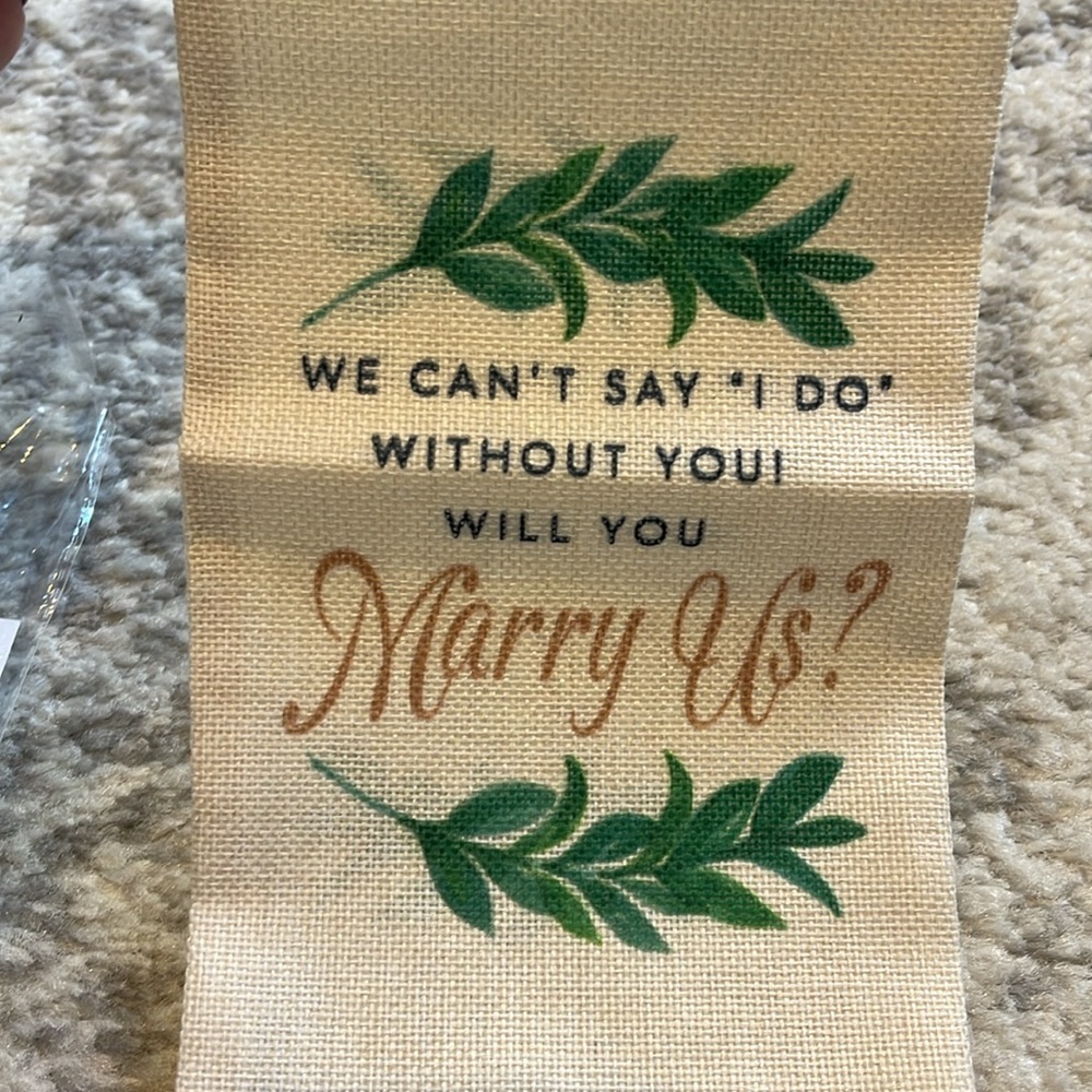 Gift bag - will you marry us? NWT